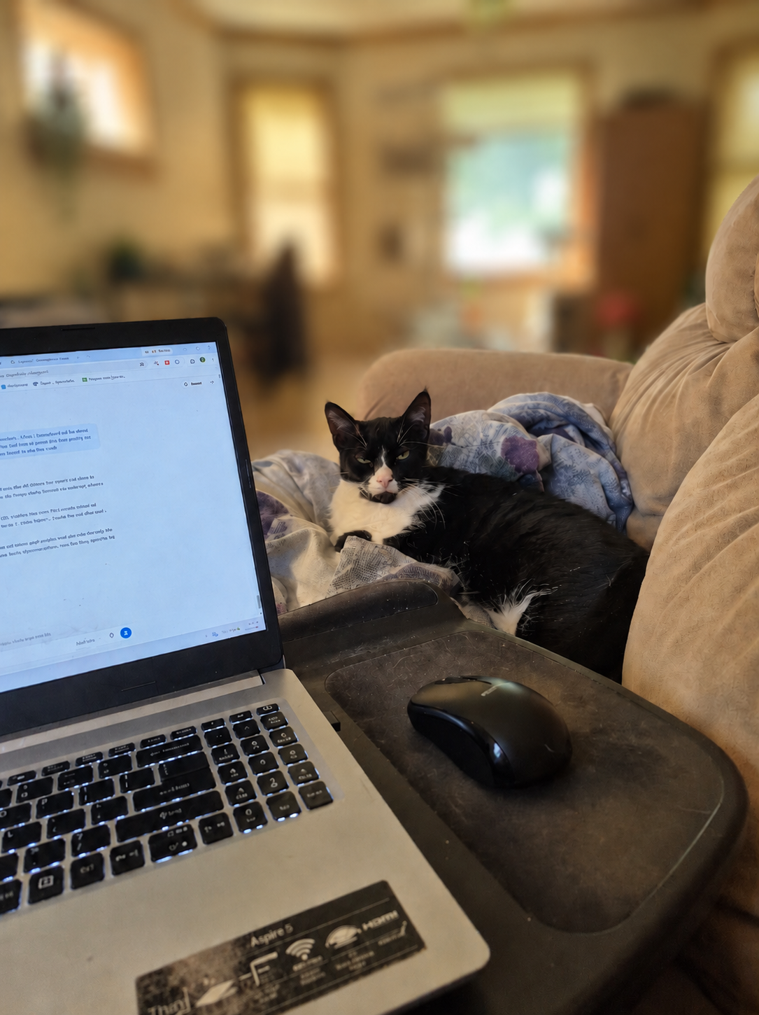 Laptop and mouse in the foreground with a tuxedo cat resting nearby on a couch